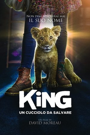 King - Un cucciolo da salvare 2022