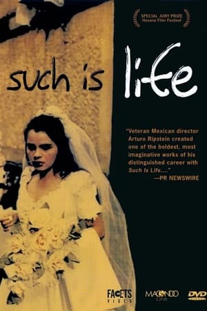Poster Such is Life (2000)