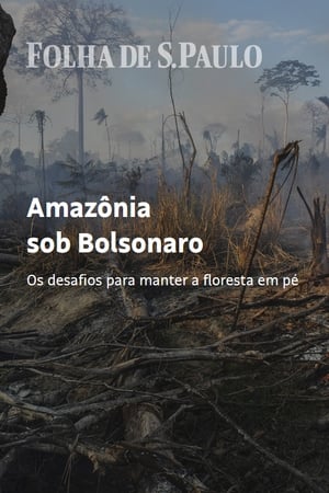 Poster Amazônia sob Bolsonaro 2020