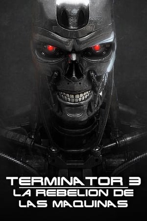 Image Terminator 3: La rebelión de las máquinas