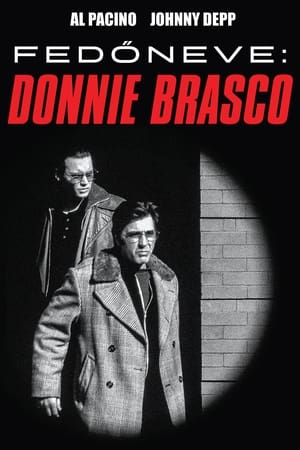 Image Fedőneve: Donnie Brasco