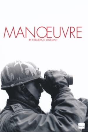 Manoeuvre poster