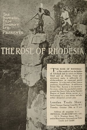 Image The Rose of Rhodesia