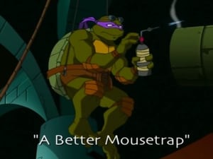 Teenage Mutant Ninja Turtles: 1×2