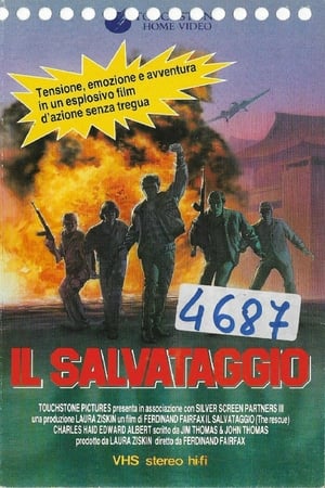 Image Il salvataggio