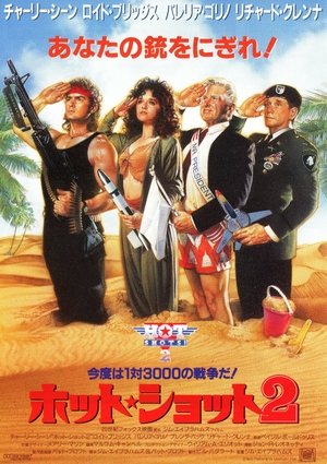 Poster ホット・ショット 1991