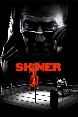 Poster Shiner 2000