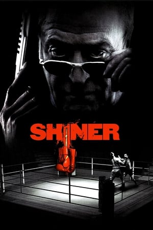 Poster Shiner - Diamante 2000