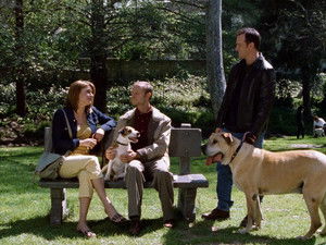Frasier: 8×23