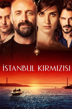 Poster İstanbul Kırmızısı 2017