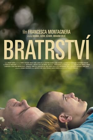 Poster Bratrství 2022