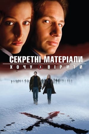 Poster Секретні матеріали: Хочу вірити 2008