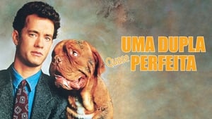 Turner and Hooch 1989