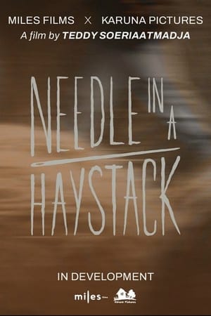 Image Needle In A Haystack