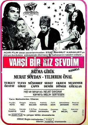 Vahşi Bir Kız Sevdim