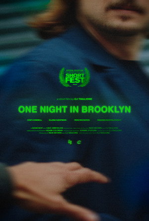 One Night in Brooklyn