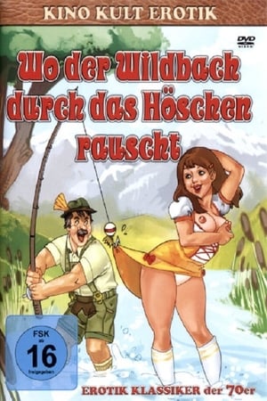 Wo der Wildbach durch das Höschen rauscht - Witwen-Report poster