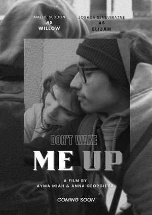 Poster Don't Wake Me Up