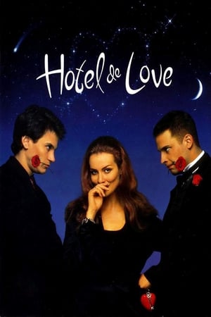 Poster Hotel de Love 1996