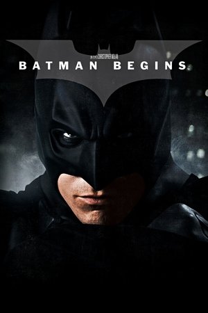 Image Batman Begins