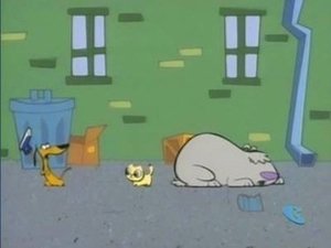 2 Stupid Dogs Cat!