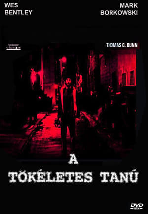 A tökéletes tanú