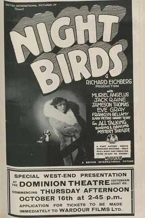 Image Night Birds