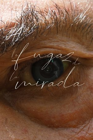 Image Lo fugaz de la mirada