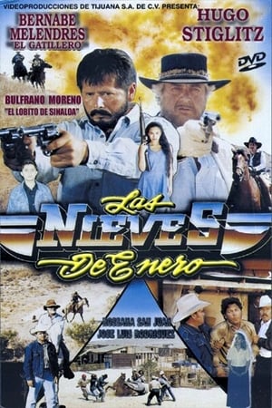 Poster Las Nieves de Enero 1995