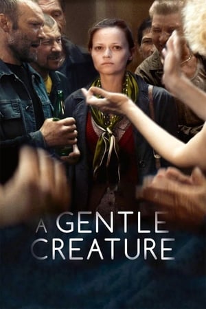 Poster A Gentle Creature 2017