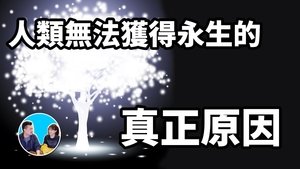 Episode 304