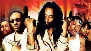 Shottas – Gangster