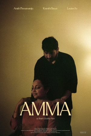 AMMA 7