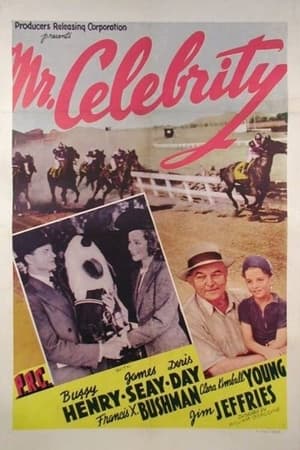 Poster Mr. Celebrity (1941)