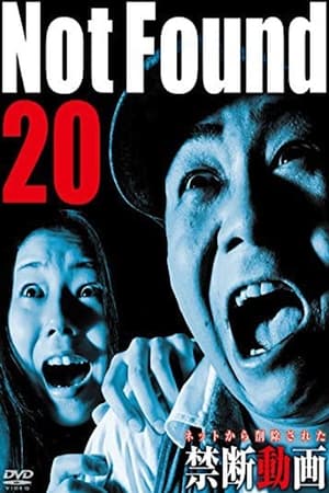 Not Found 20 film complet