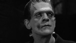 El doctor Frankenstein (1931)