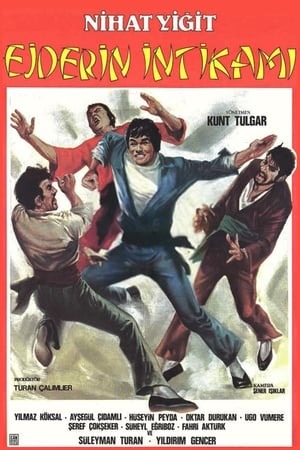 Poster Ejderin İntikamı 1984