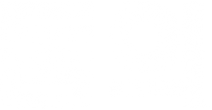 Consent — Logos 5