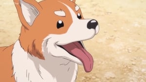 Oda Cinnamon Nobunaga: 1×11