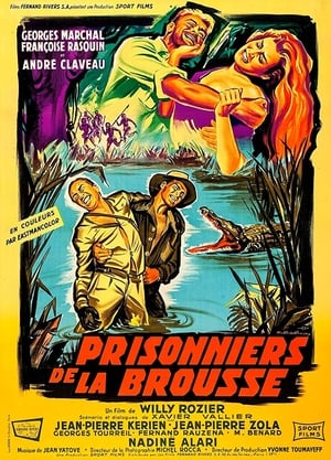 Poster Prisonniers de la brousse 1960