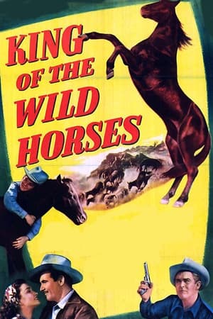 Poster King of the Wild Horses (1947)