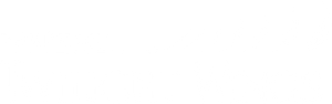 Pokémon: Twilight Wings