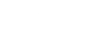 Again My Life — Logos 3