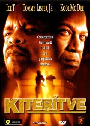 Poster Kiterítve 2001