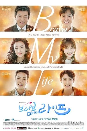 Poster 브라보 마이 라이프 2017