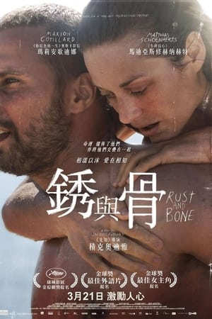 Poster 锈与骨 2012