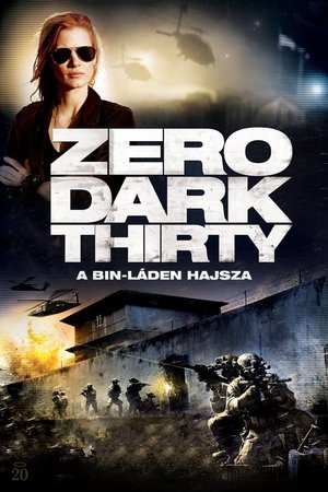 Image Zero Dark Thirty - A Bin Láden hajsza