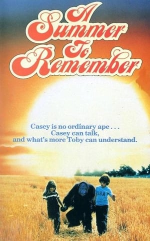 A Summer to Remember poster