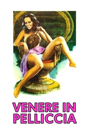 Poster 披兽皮的维纳斯 1969