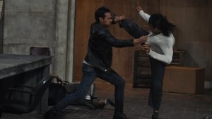 The Raid 2